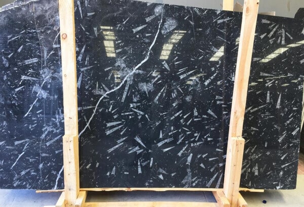 Fosil black marble slab from Moroco