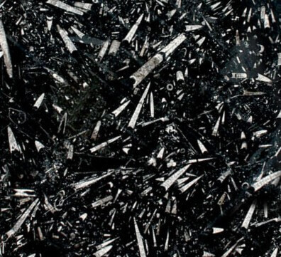 Muestra marmol negro Fosil Black de marruecos